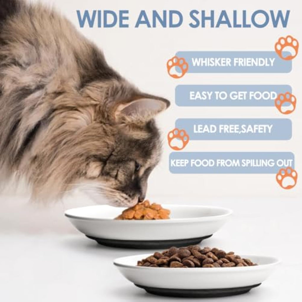 Ceramic Cat Bowls Whisker Friendly